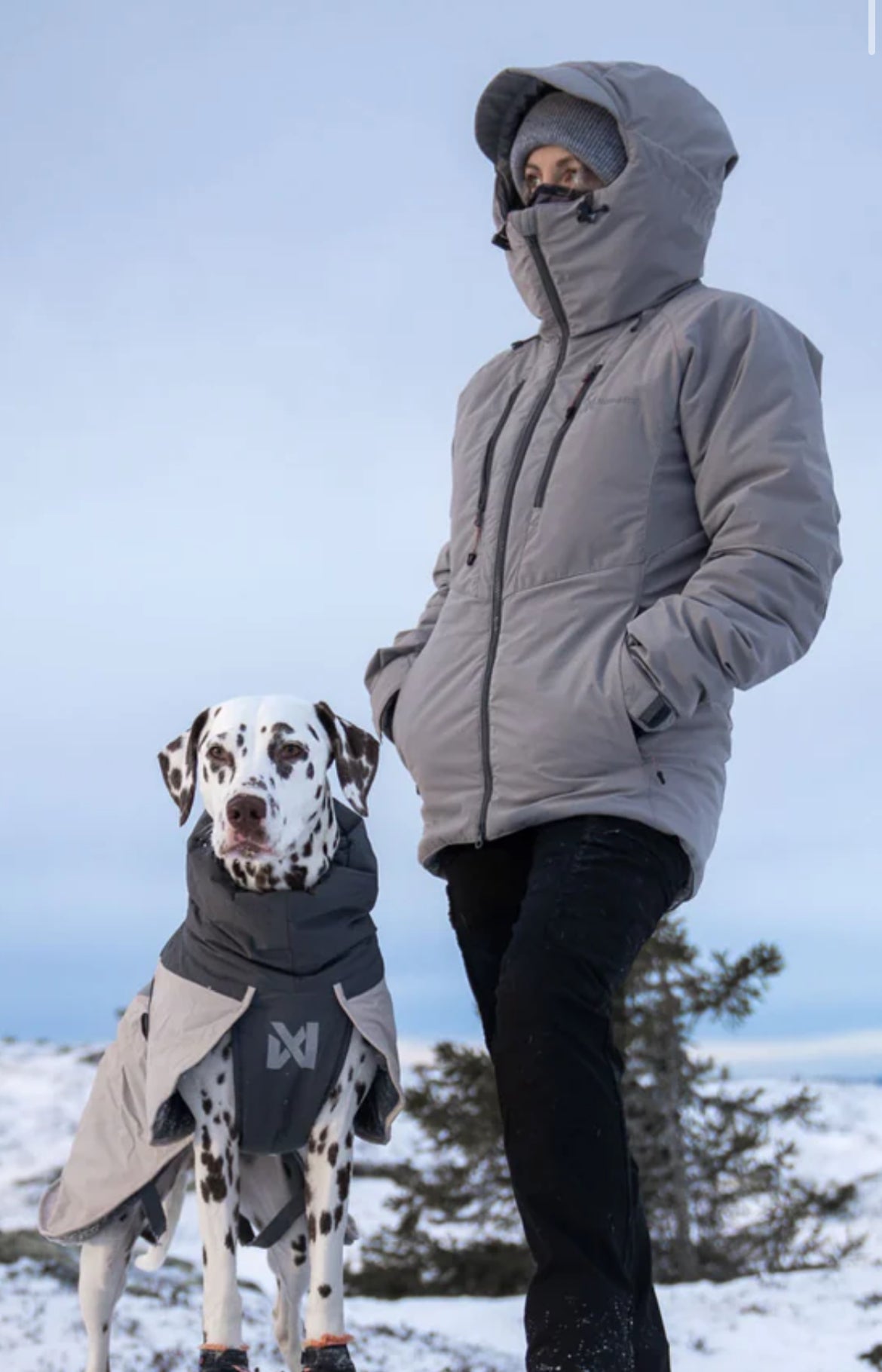 Trail Isolator+ Winter Jacket, Women’s