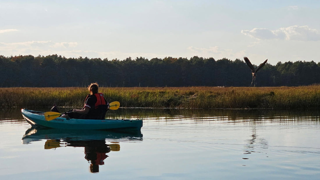 Official Crescent Kayaks Dealer and Retailer for Northeastern U.S.
