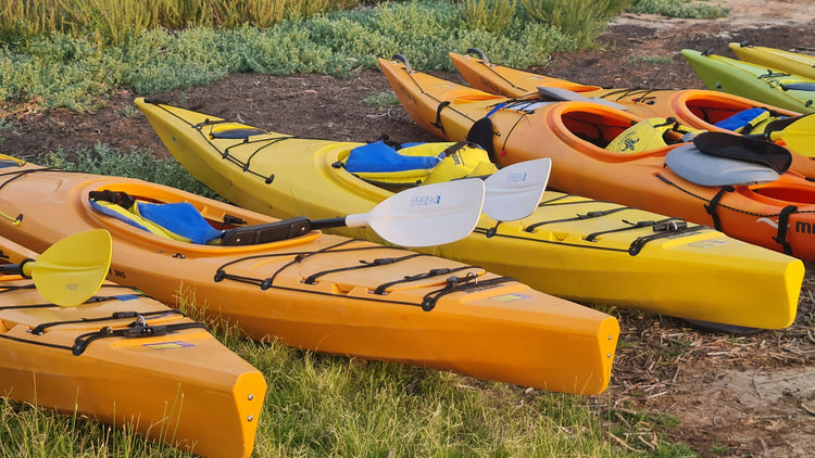 Kayak, Canoe, and SUP Outlet