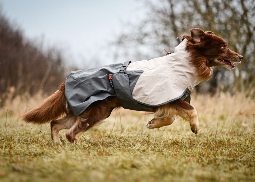Fjord Raincoat 2.0 for Dog