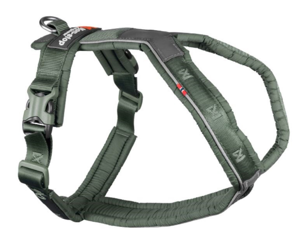 Line Harness 5.0 for Dog Walking, Jogging, and Hiking