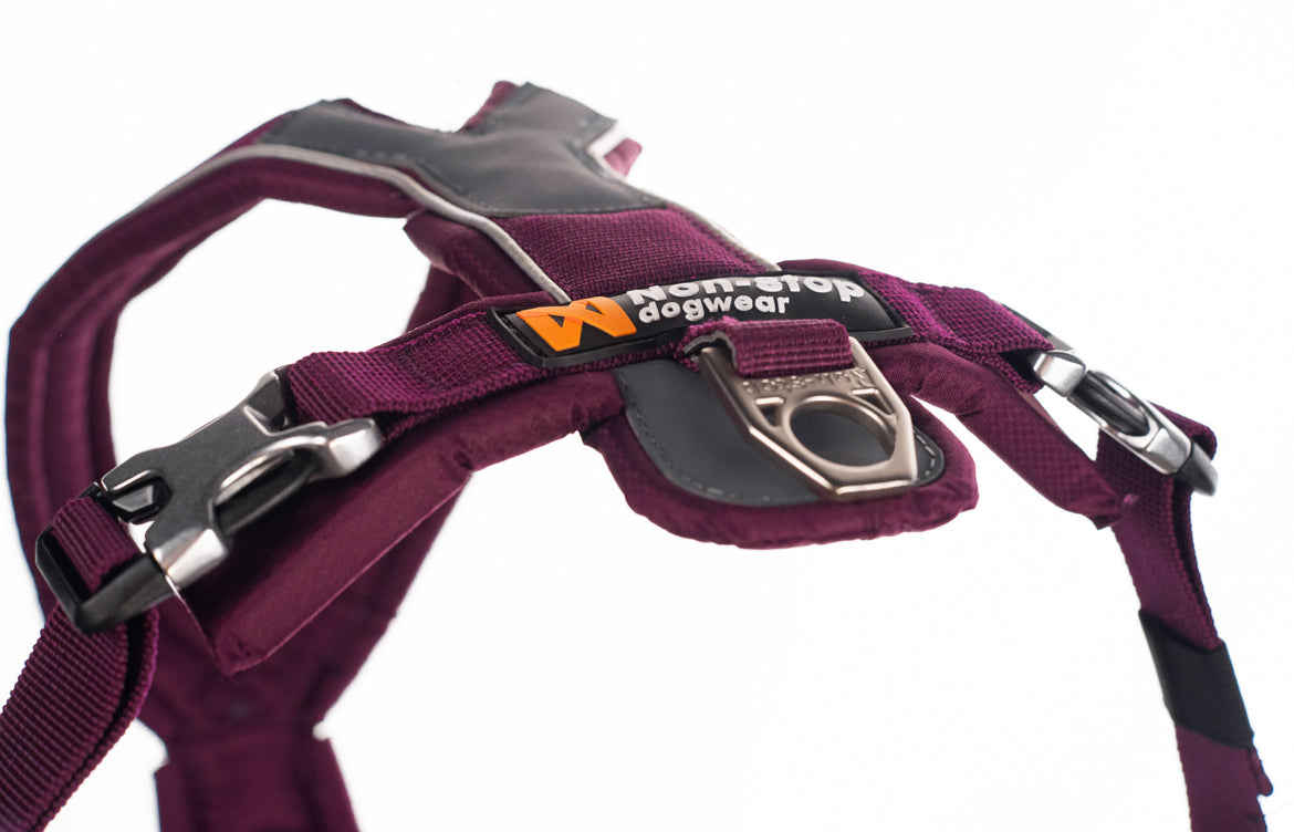 Line Harness 5.0 | General Activities Dog Harness