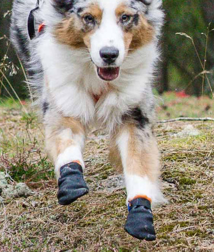 Protector Bootie for Active Dogs