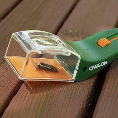 BugView Quick-Release Bug Catching Tool and 5x Magnifier
