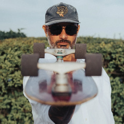Summit Amber Tortoise - Polarized Sunglasses