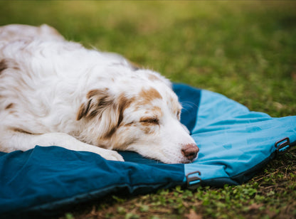 Trekking Dog Bed for Travel, Camp, and Trail
