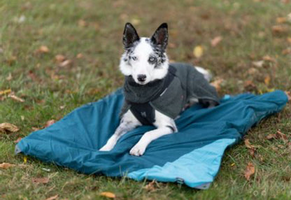 Trekking Dog Bed for Travel, Camp, and Trail