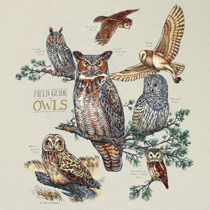Field Guide to Owls Adult T-Shirt