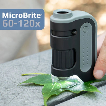60x-120x LED Lighted Pocket Microscope | Educational, Portable