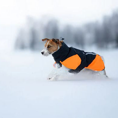 Glacier 3.0 Insulated Dog Jacket