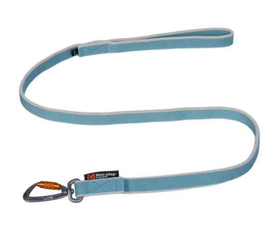 Blue dog leash with a metal clip on a white background