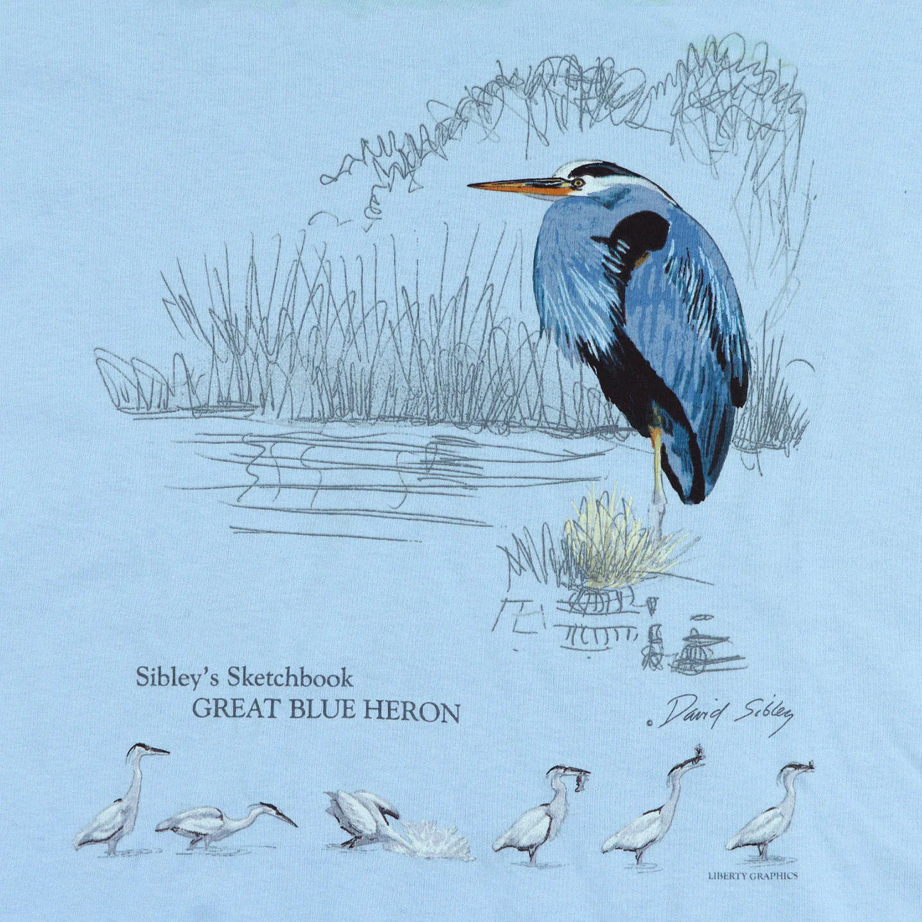 Sibley's Great Blue Heron Adult T-Shirt