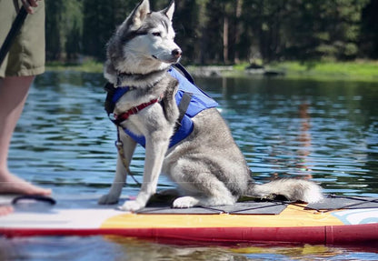 Stohlquist Pup Float Dog Life Jacket (PFD)