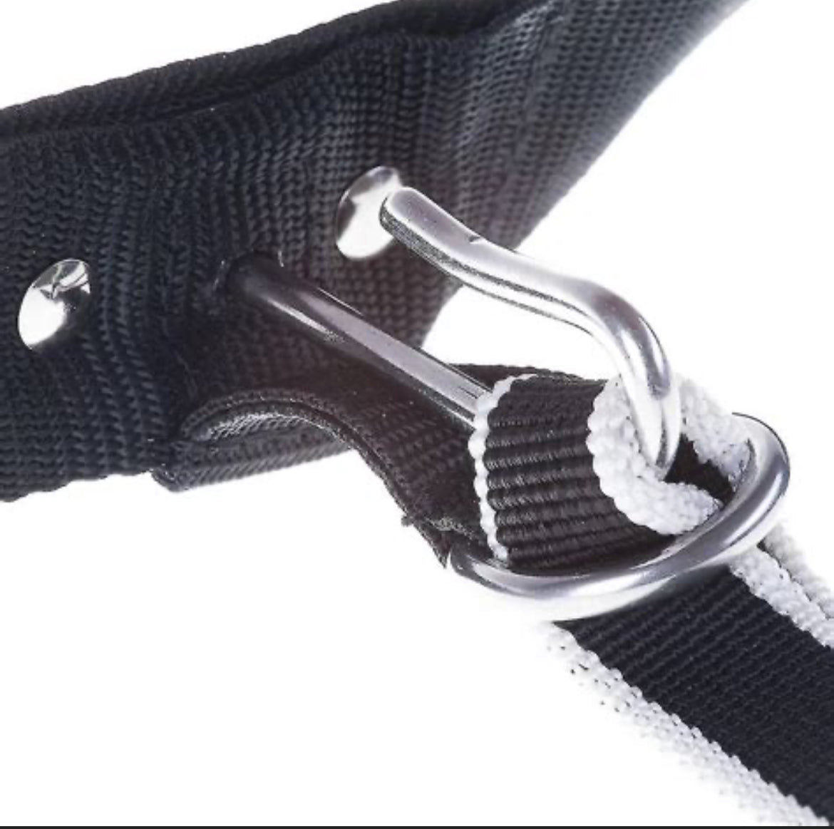 Trekking Belt 2.0 (dog-walking belt) for hiking, walking, and skiing with dog