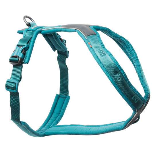 Line Harness 5.0 | Teal, size 6 (slightly worn)
