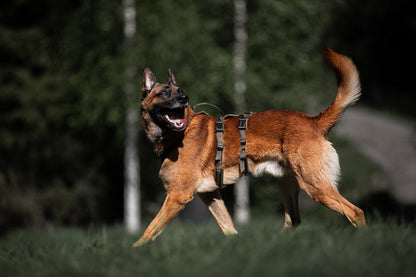 Line Harness Long WD