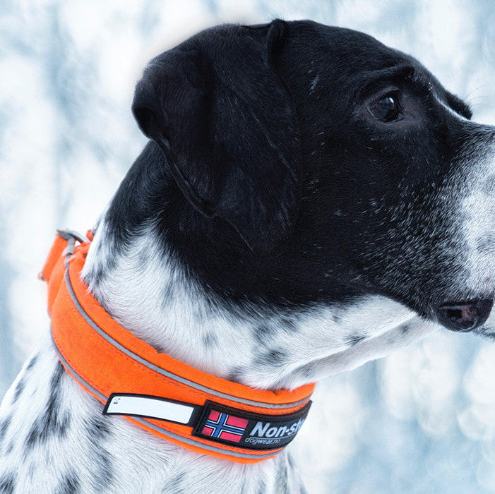 Hunting Dog Collar Safety Orange