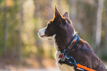 Rock Collar Adjustable with Reflectivity and HexiVent