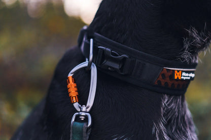 Rock Collar Adjustable with Reflectivity and HexiVent