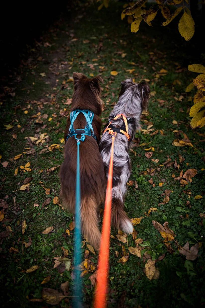 Rush Harness | Pulling Harness for Dog
