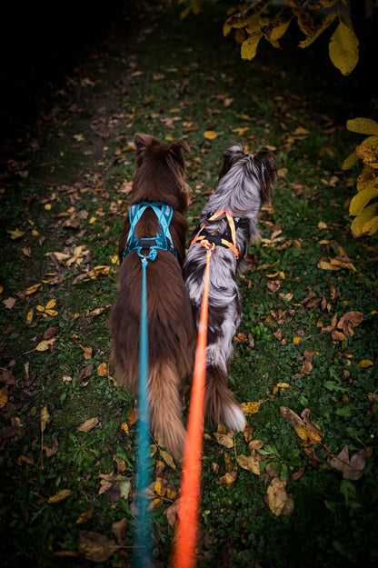 Rush Harness | Pulling Harness for Dog