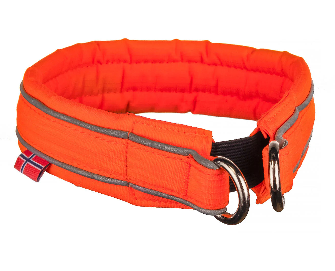 Safe Collar by Nonstop Dogwear